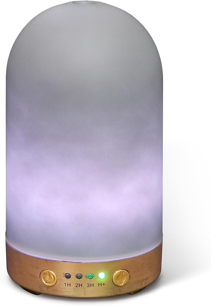 Earnest Living Essential Oil Diffusers for Essential Oils 100 ml Ultrasonic Diffusers 4 Timers Night Lights and Auto Off Function Home Office Aromatherapy Diffusers for Essential Oils