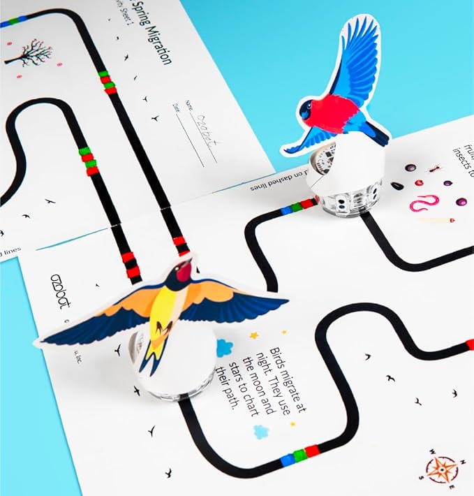 Evo Classroom Kit (12 Bots): Interactive Coding Robot, Kids Ages 5+, Includes 12 Evo Robots, Color Code Markers, Charging Cradle, Bot Stickers, Access to 700+ STEAM Lessons, Educators & Parents