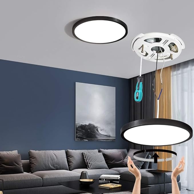 TALOYA Flush Mount LED Ceiling Light Fixture Black,12 Inch 20 Watt, Thin Ceiling Lamp Surface Mount for Kitchen Bedroom Utility Laundry Closet Room,5 Color Temperatures in One