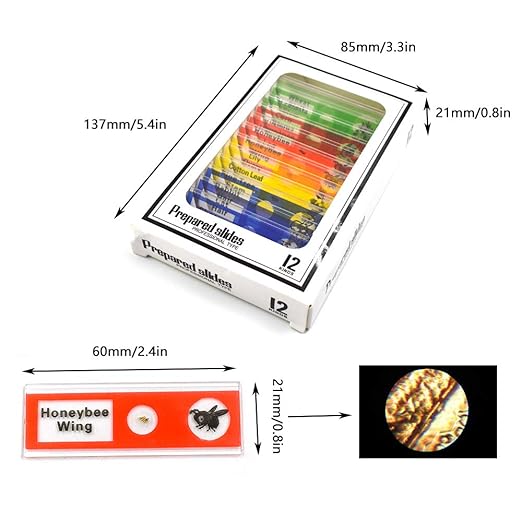 Prepared Microscope Slides for Kids, 48pcs Plastic Animals Insects Plants Flowers Sample Specimens for Students Children Homeschooling Biology Science Programs