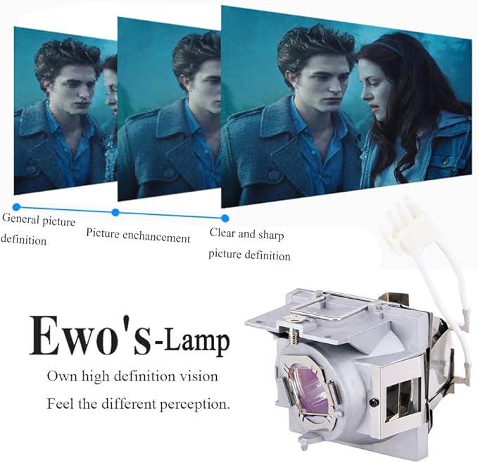 EWO'S RLC-108 Lamp Bulb for Viewsonic PA503S PA503SP PA503X PA503XP PA500S PA502SE PA502XE PG603X PS501X PS600X VS16905 Projector Lamp Bulb Replacement
