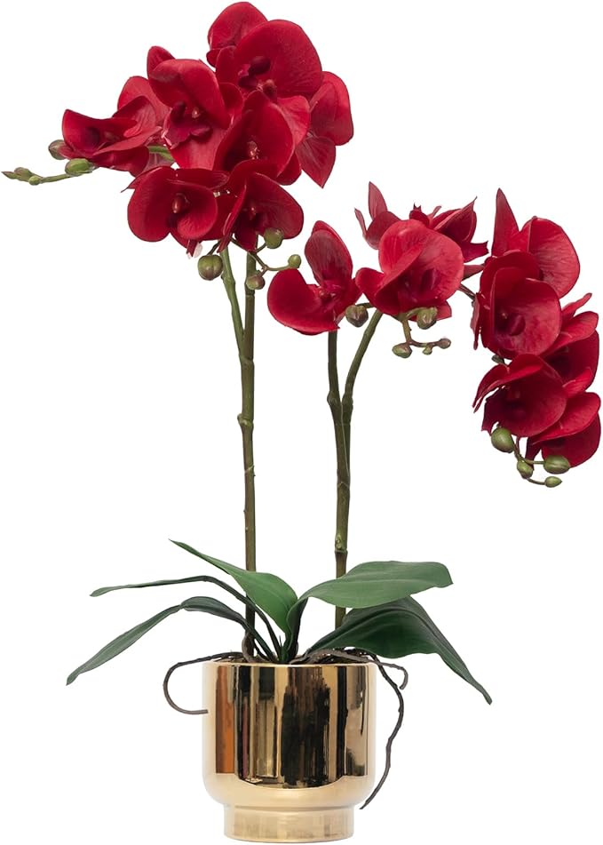 CXGS Orchids Artificial Flowers Real Touch Fake Flowers in Ceramic Pot 20" Red Faux Orchid Plant Lifelike Silk Phalaenopsis for Centerpiece Hotel Home Indoor Decor