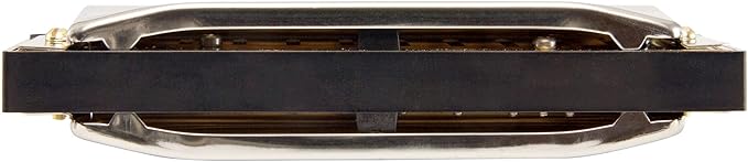 Hohner Special 20 Harmonica - Key of F Sharp Bundle with Case, Pouch, Online Manual, and Austin Bazaar Polishing Cloth