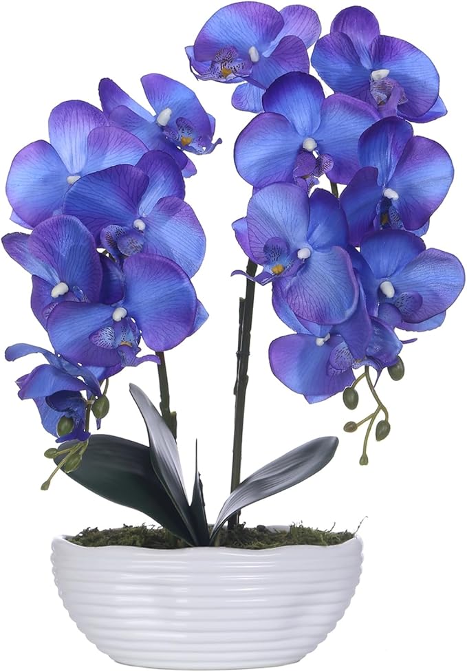 Large Artificial Potted Orchid Plant, Silk Flower Arrangement with Ceramics Vase, Purple Blue
