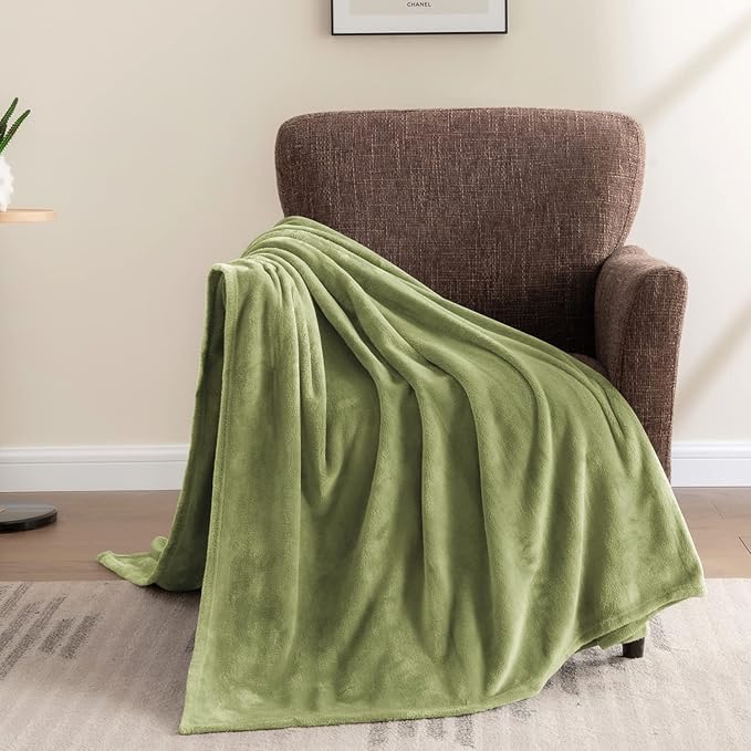BEDELITE Fleece Blanket Twin Size Sage Green Throw Blanket for Couch & Bed, Luxury Plush Cozy Fuzzy Blanket 60x80 inches, Super Soft Warm Lightweight Throw Blanket for Travel Camping