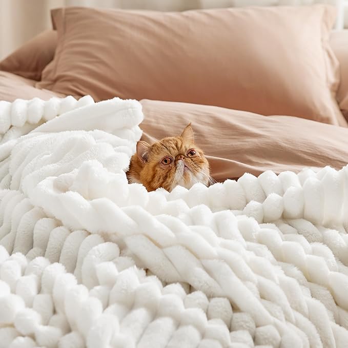 Bedsure GentleSoft California King Size White Fleece Blanket for Bed - Cozy Soft Blankets for Women, Cute Large Throws for Girls, Off White, 102x96 Inches