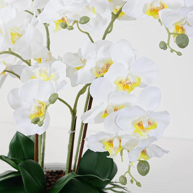 Ziwon Artificial Orchid Flowers Potted in Ceramic Pot, White Faux Phalaenopsis Orchids for Table Centerpiece, Realistic Fake Flower in vase for Home Office Decor Indoor