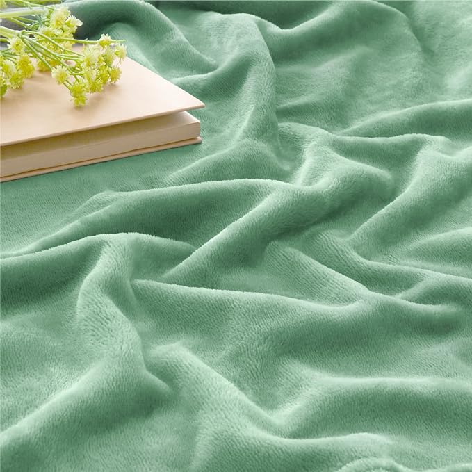 BEDELITE Fleece Blanket Twin Size Dusty Green Throw Blankets for Couch & Bed, Luxury Plush Cozy Fuzzy Blanket 60x80 inches, Super Soft Warm Lightweight Throw Blanket for Travel Camping