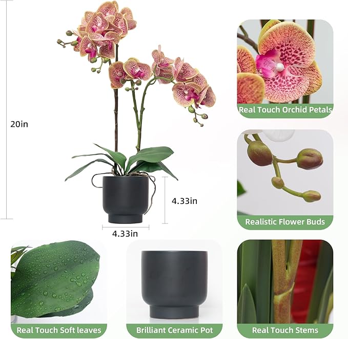 CXGS Orchids Artificial Flowers Real Touch Fake Flowers in Ceramic Pot 20" Purple Dapple Faux Orchid Plant Lifelike Silk Phalaenopsis for Centerpiece Hotel Home Indoor Decor