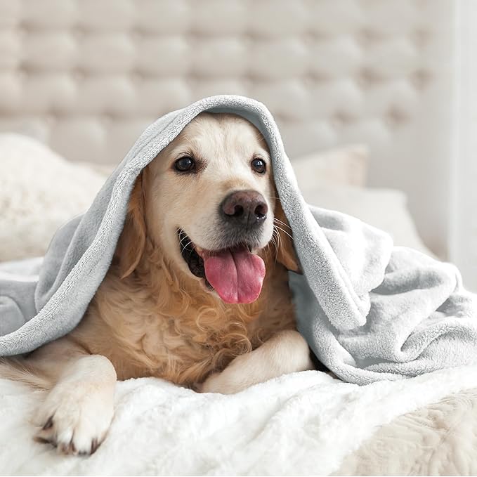 BEDELITE Fleece Blanket Twin Size Dove Gray Throw Blankets for Couch & Bed, 300GSM Luxury Plush Cozy Fuzzy Blanket 60x80 inches, Super Soft Warm Lightweight Throw Blanket for Travel Camping