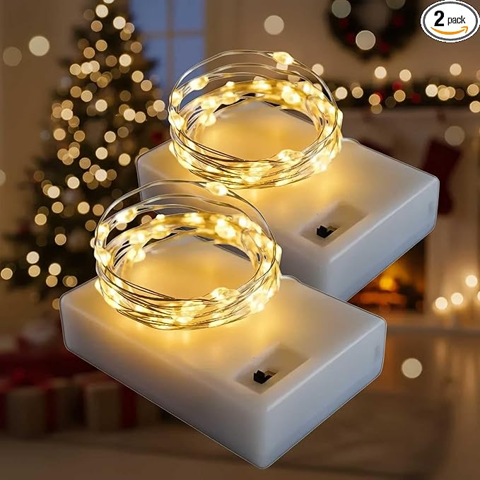 QBIS Warm White Fairy Lights Battery Operated with Timer Mode, 40 Micro LEDs for Mason Jars, 6.5ft, Silver Wire Lights Indoor Use (Warm White) - 2 Pack
