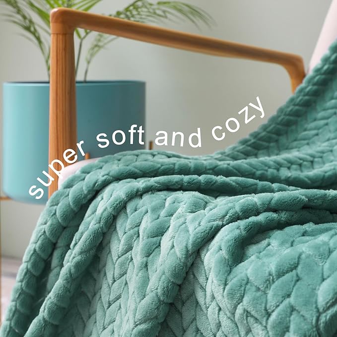 Exclusivo Mezcla Fleece Queen Size Blanket for Bed, 90x90 Inches Soft Cozy Jacquard Flannel Blankets, Lightweight Fuzzy Plush Warm for Winter, Celadon