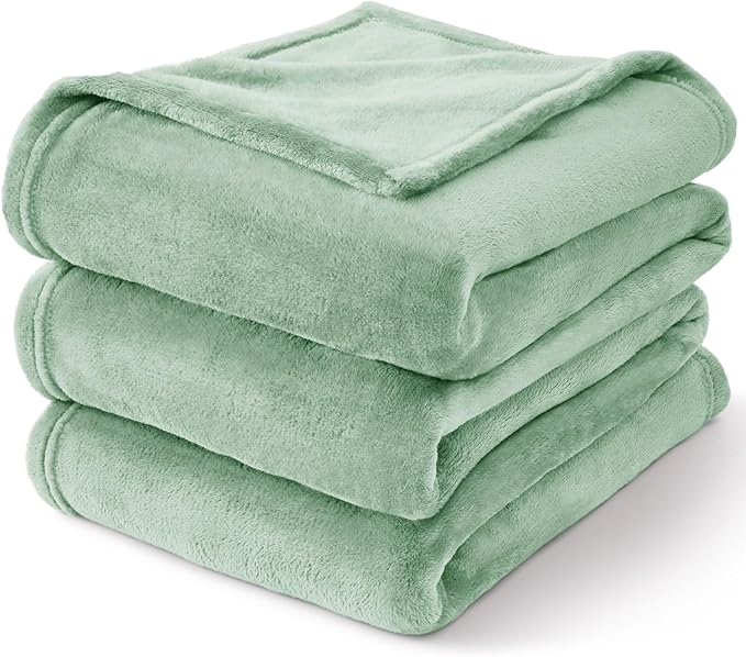 BEDELITE Fleece Blankets Queen Size Mint Green Throw Blankets for Bed, Luxury Plush Cozy Fuzzy Blanket 90x90 inches, Super Soft Warm Lightweight Throw Blanket All Seasons Suitable
