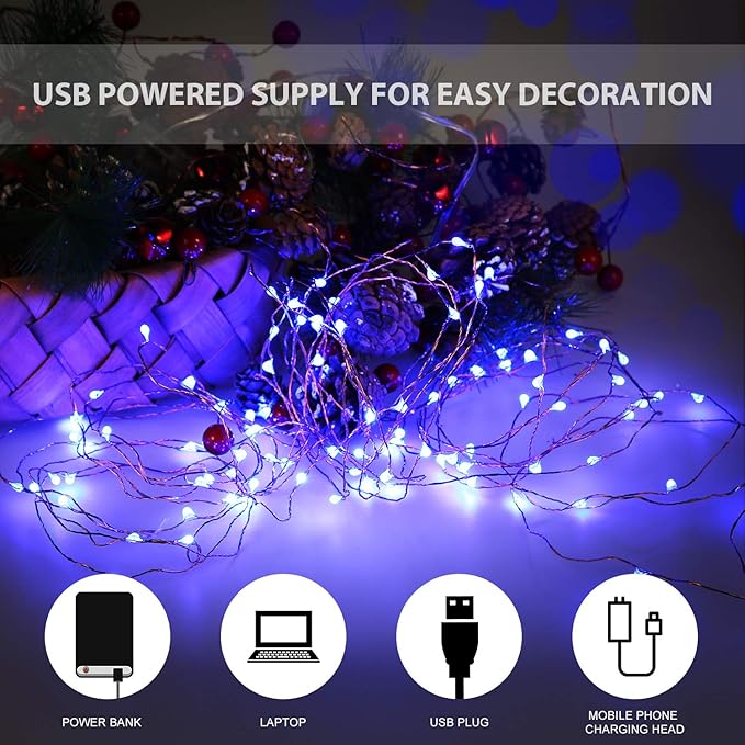 USB Powered Fairy Lights, 100 led 33 ft. USB Plug in Copper Wire USB String Lights for Bedroom Christmas Decoration Wedding Party Firefly Lights (Blue,1 Pack)