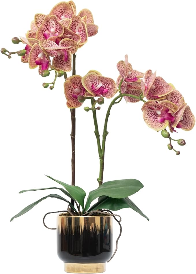 CXGS Orchids Artificial Flowers Real Touch Fake Flowers in Ceramic Pot 20" Purple Dapple Faux Orchid Plant Lifelike Silk Phalaenopsis for Centerpiece Hotel Home Indoor Decor