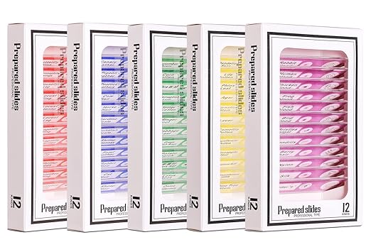 Prepared Plastic Microscope Slides with Specimens for Kids, Microscope Sample Slides Full Range of Animal/Plant/Insect/Blood Biology Slides Gift Set for Kids Microscope (60PCS)
