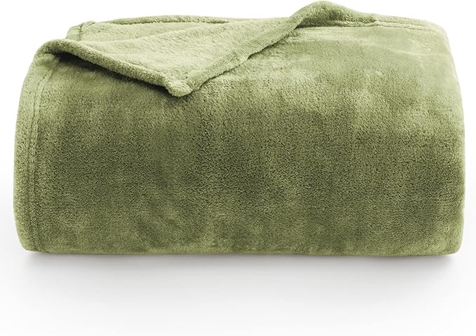 BEDELITE Fleece Blanket Twin Size Sage Green Throw Blanket for Couch & Bed, Luxury Plush Cozy Fuzzy Blanket 60x80 inches, Super Soft Warm Lightweight Throw Blanket for Travel Camping