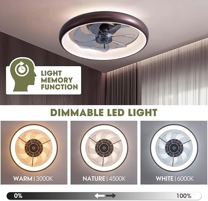 Ceiling Fan with Lights and Remote, 20'' Low Profile Flush Mount, 6 Wind Speeds, Modern Dimmable LED, Smart for Bedroom, Kids Room