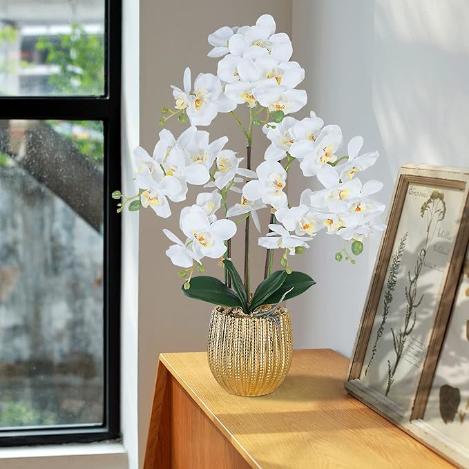 Ziwon Artificial Orchid Flowers & Plants Potted in Ceramic Pot, White Faux Phalaenopsis Orchids for Table Centerpiece, Realistic Fake Flower Arrangement for Home Office Decor Indoor