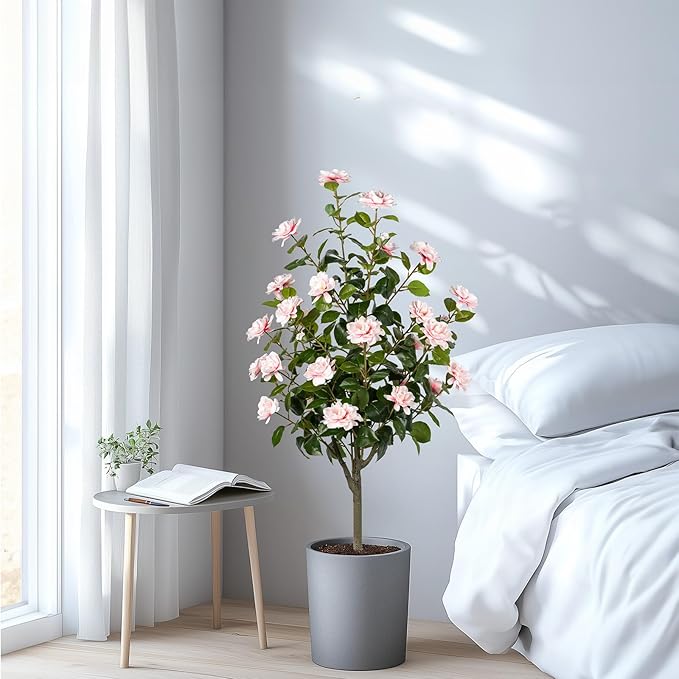 Artificial Camellia Tree 2 Pack, Artificial Plants Outdoor Faux Floral Plant in Cement Pot Fake Silk Camellia Tree Plants for Home House Living Room Office Decor