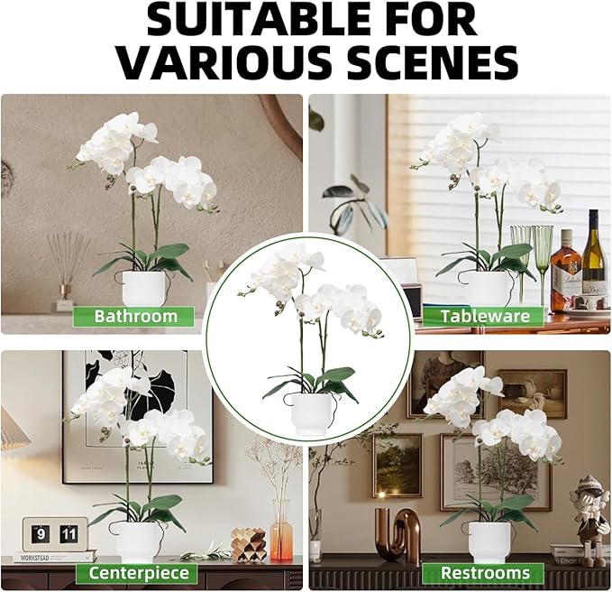 CXGS Orchids Artificial Flowers Real Touch Fake Flowers in Ceramic Pot 20" White Faux Orchid Plant Lifelike Silk Phalaenopsis for Centerpiece Hotel Home Indoor Decor
