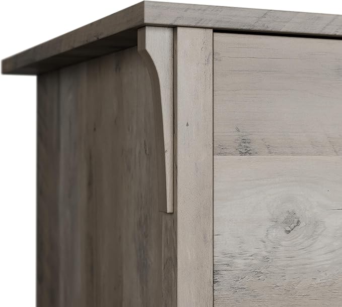 Bush Furniture Salinas Accent Storage Cabinet with Doors in Driftwood Gray