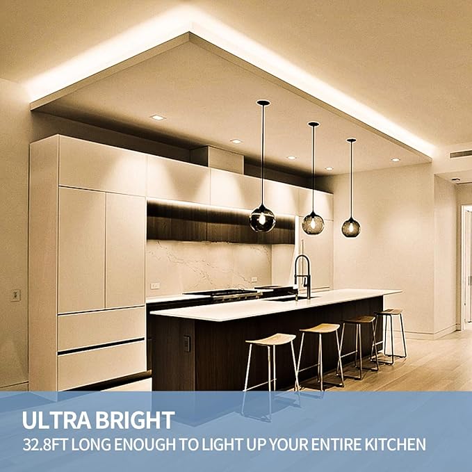 Led Strip Lights 32.8ft Warm White Dimmable Led Light Strip Flexible Rope Lights Kits with 12v Etl Power Supply, Adhesive Clips, Dimmer Switch and Connectors for Indoor Decor