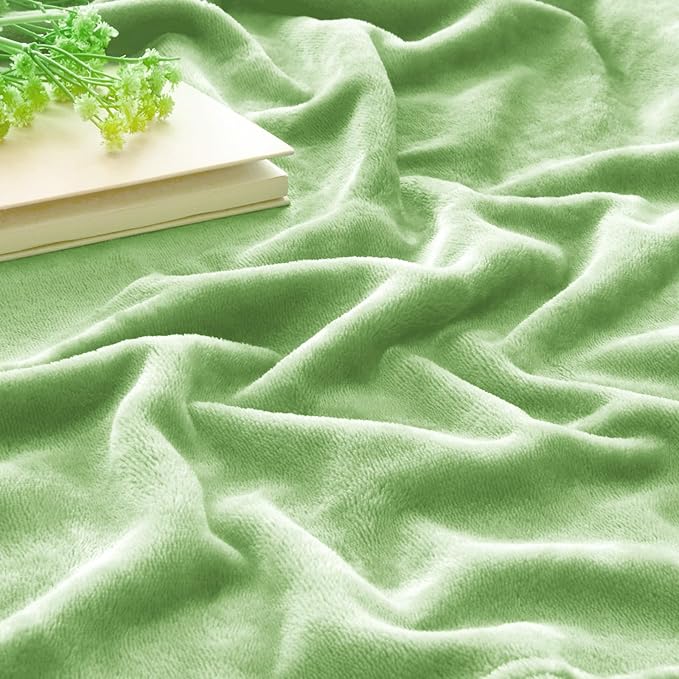 BEDELITE Fleece Blanket Twin Size Grass Green Throw Blankets for Couch & Bed, Luxury Plush Cozy Fuzzy Blanket 60x80 inches, Super Soft Warm Lightweight Throw Blanket for Travel Camping