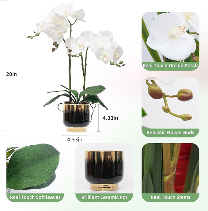 CXGS Orchids Artificial Flowers Real Touch Fake Flowers in Ceramic Pot 20" White Faux Orchid Plant Lifelike Silk Phalaenopsis for Centerpiece Hotel Home Indoor Decor