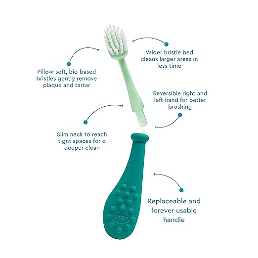 RADIUS Big Kidz Forever Brush Replaceable Head Toothbrush for Children, 6 Years and Up, BPA Free ADA Accepted for Growing Teeth and Gums - Right and Left Handed, Extra Soft - Pack of 1