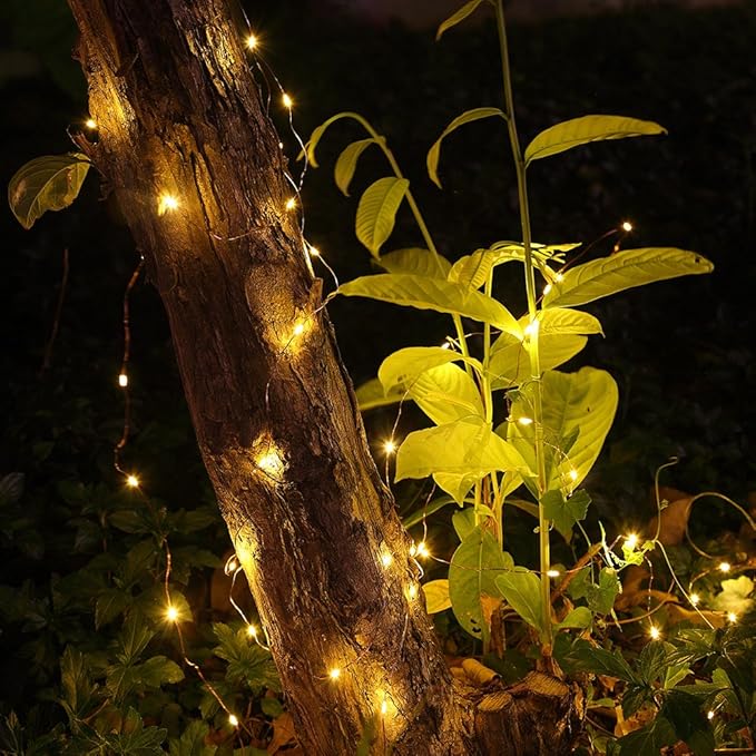 GDEALER 2 Pack 20 Feet 60 Led Fairy Lights Battery Operated with Remote Control Timer, 8 Modes Waterproof Copper Wire Twinkle String Lights Christmas Lights for Bedroom Party Indoor- Warm White