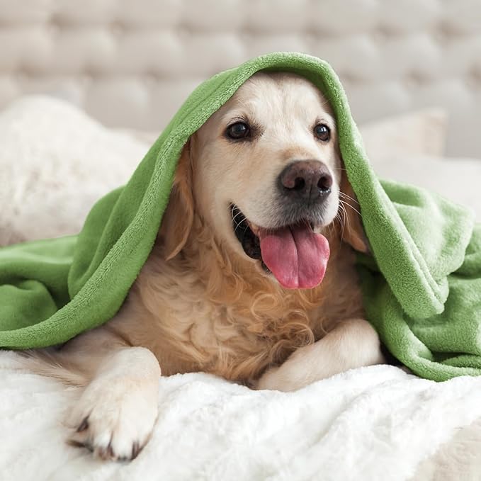 BEDELITE Fleece Blanket Twin Size Grass Green Throw Blankets for Couch & Bed, Luxury Plush Cozy Fuzzy Blanket 60x80 inches, Super Soft Warm Lightweight Throw Blanket for Travel Camping