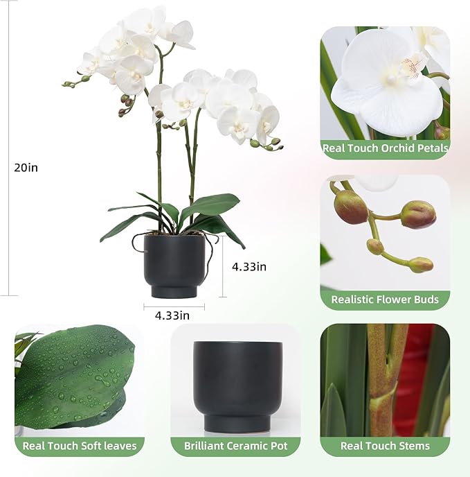 CXGS Orchids Artificial Flowers Real Touch Fake Flowers in Ceramic Pot 20" White Faux Orchid Plant Lifelike Silk Phalaenopsis for Centerpiece Hotel Home Indoor Decor