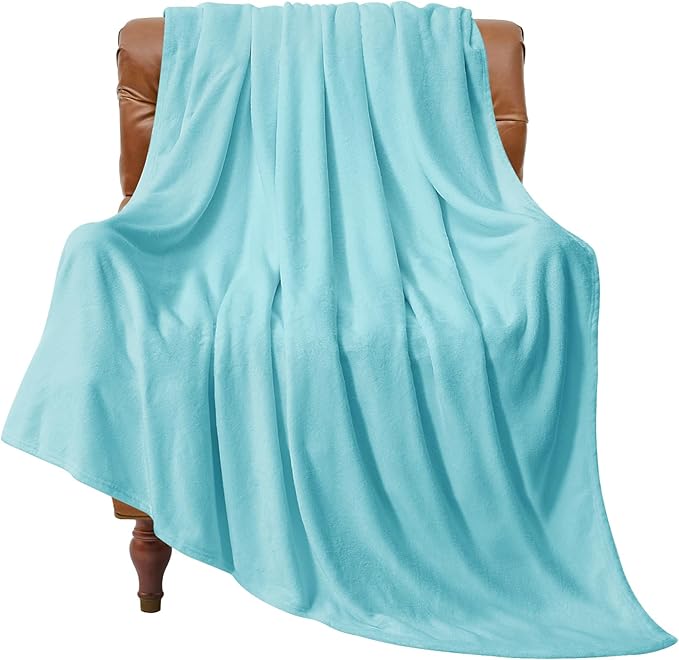 BEDELITE Fleece Blanket Twin Size Light Blue Throw Blankets for Couch & Bed, Luxury Plush Cozy Fuzzy Blanket 60x80 inches, Super Soft Warm Lightweight Throw Blanket for Travel Camping