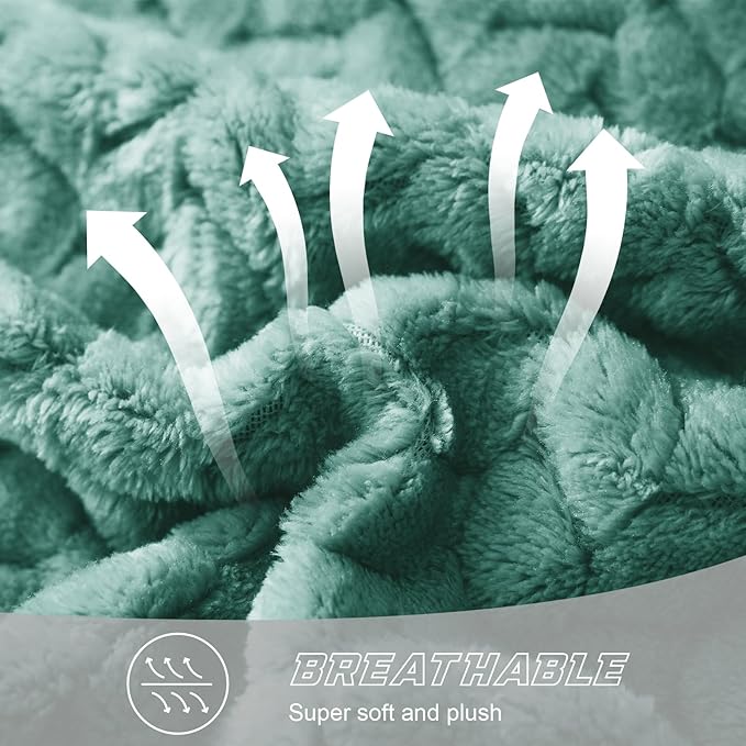 Exclusivo Mezcla Fleece Twin Size Blanket for Bed, 90x66 Inches Soft Cozy Jacquard Flannel Blankets, Lightweight Fuzzy Plush Warm for Winter, Celadon