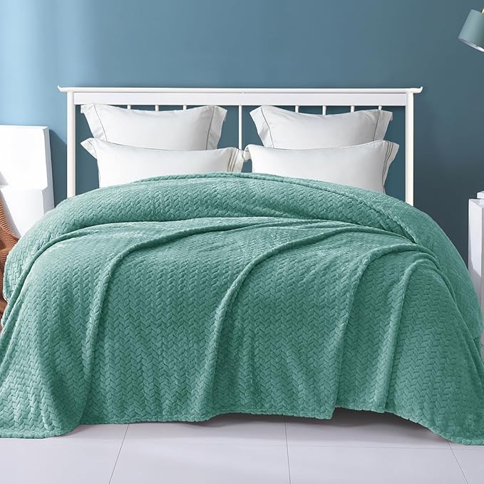Exclusivo Mezcla Fleece Queen Size Blanket for Bed, 90x90 Inches Soft Cozy Jacquard Flannel Blankets, Lightweight Fuzzy Plush Warm for Winter, Celadon