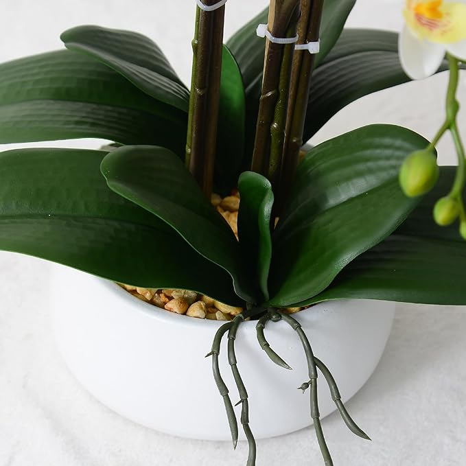 Ziwon Artificial Orchid Flowers & Plants Potted in Ceramic Pot, White Faux Phalaenopsis Orchids for Table Centerpiece, Realistic Fake Flower Arrangement for Home Office Decor Indoor