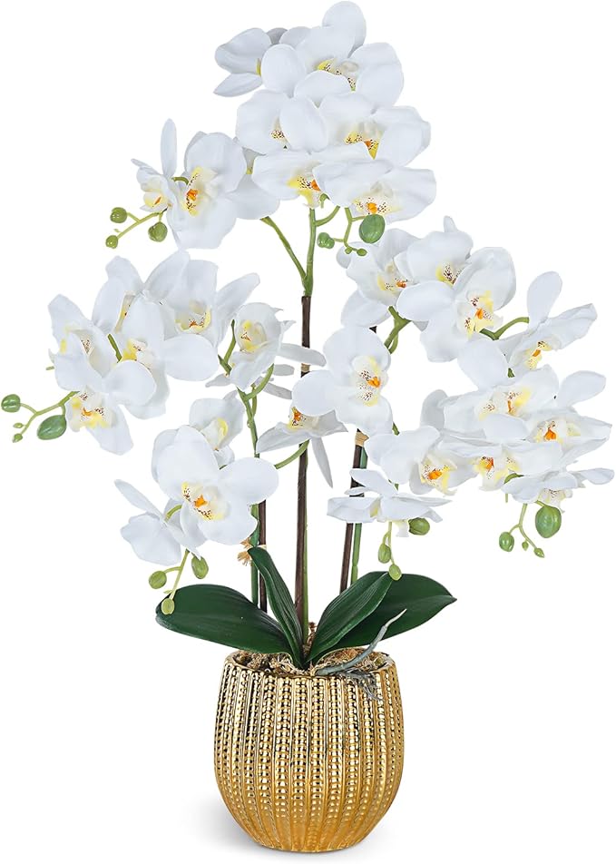 Ziwon Artificial Orchid Flowers & Plants Potted in Ceramic Pot, White Faux Phalaenopsis Orchids for Table Centerpiece, Realistic Fake Flower Arrangement for Home Office Decor Indoor