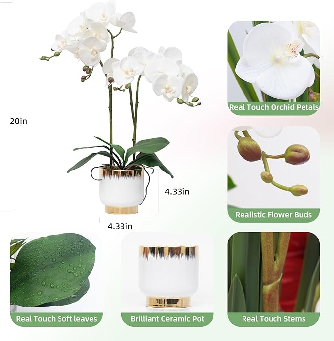 CXGS Orchids Artificial Flowers Real Touch Fake Flowers in Ceramic Pot 20" White Faux Orchid Plant Lifelike Silk Phalaenopsis for Centerpiece Hotel Home Indoor Decor
