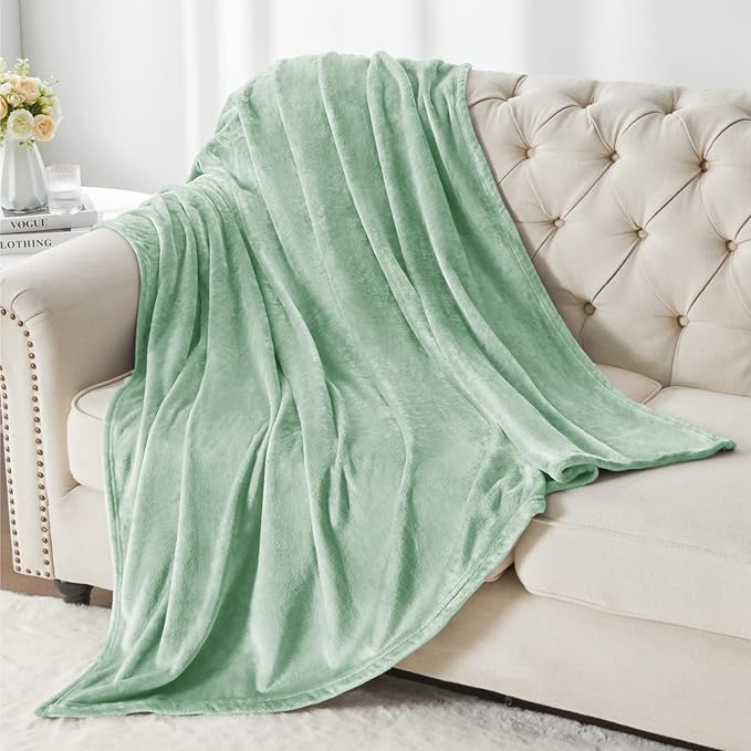 BEDELITE Fleece Blankets Queen Size Mint Green Throw Blankets for Bed, Luxury Plush Cozy Fuzzy Blanket 90x90 inches, Super Soft Warm Lightweight Throw Blanket All Seasons Suitable