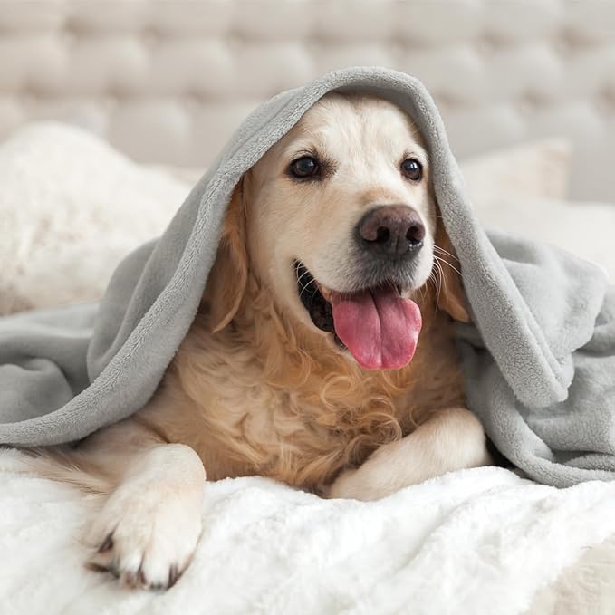 BEDELITE Fleece Blanket Light Grey Throw Blankets for Couch & Bed, Luxury Plush Cozy Fuzzy 50x70 inches, Super Soft Warm Lightweight Throw for Travel Camping
