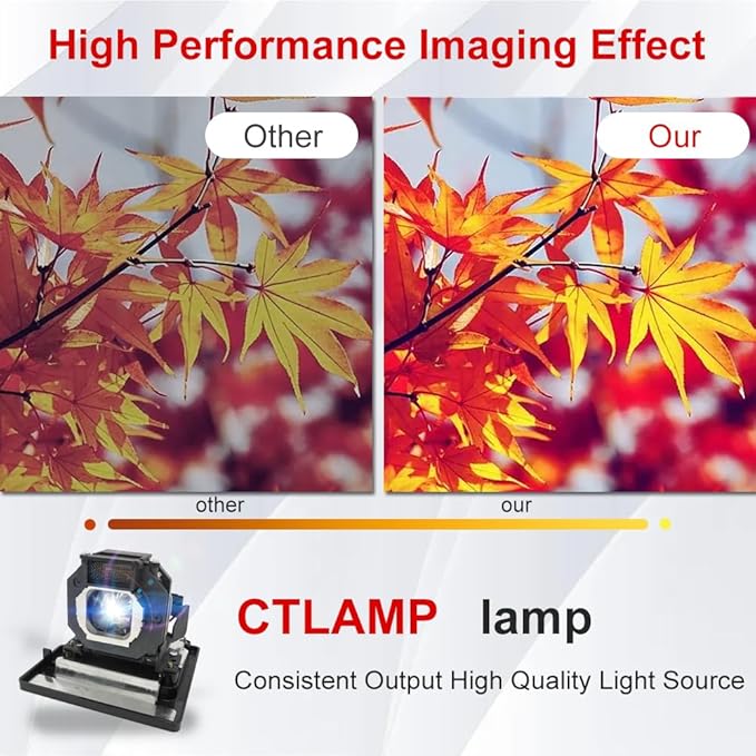 A+ Quality ET-LAE1000 Replacement Projector Lamp Bulb with Housing Compatible with Panasonic PT-AE1000 PT-AE1000E PT-AE1000U PT-AE2000 PT-AE2000E PT-AE3000 PT-AE3000U TH-AE1000 TH-AE3000