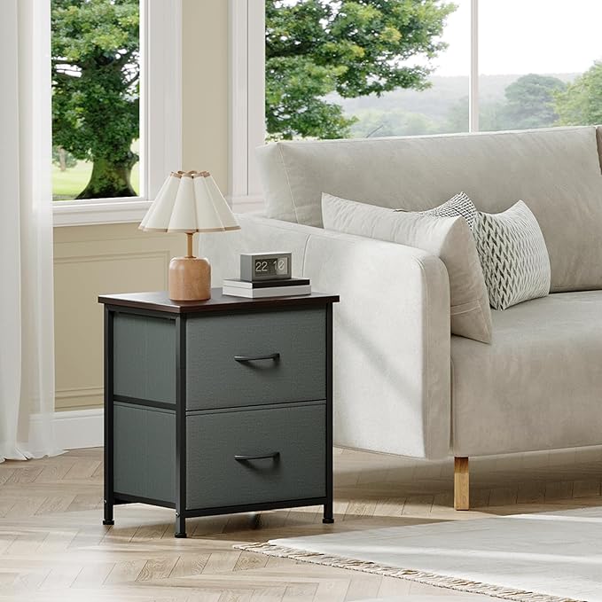 Somdot Nightstand, Small Dresser for Bedroom with 2 Drawers, Bedside Table Night Stand End Table with Fabric Bins for Bedroom Kids Closet Dorm Guest Room, Charcoal Grey