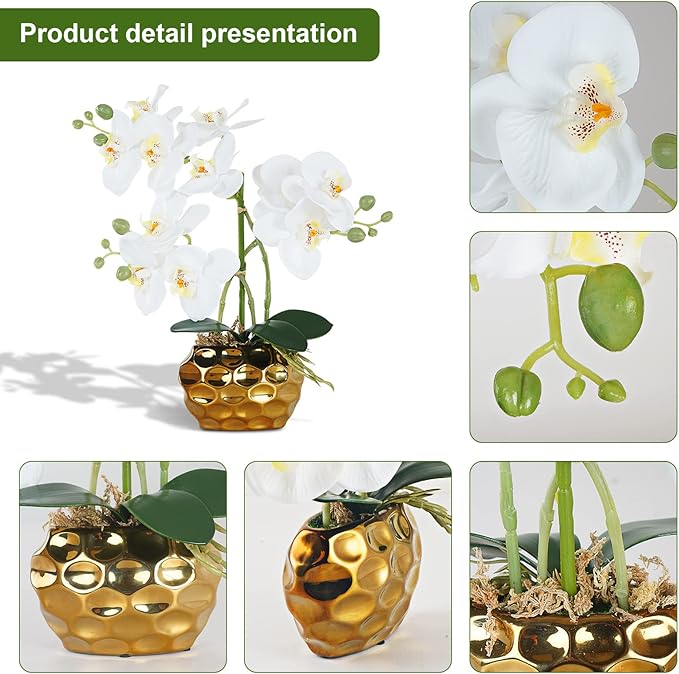 Ziwon Artificial Orchid Flowers & Plants Potted in Ceramic Pot, White Faux Phalaenopsis Orchids for Table Centerpiece, Realistic Fake Flower Arrangement for Home Office Decor Indoor