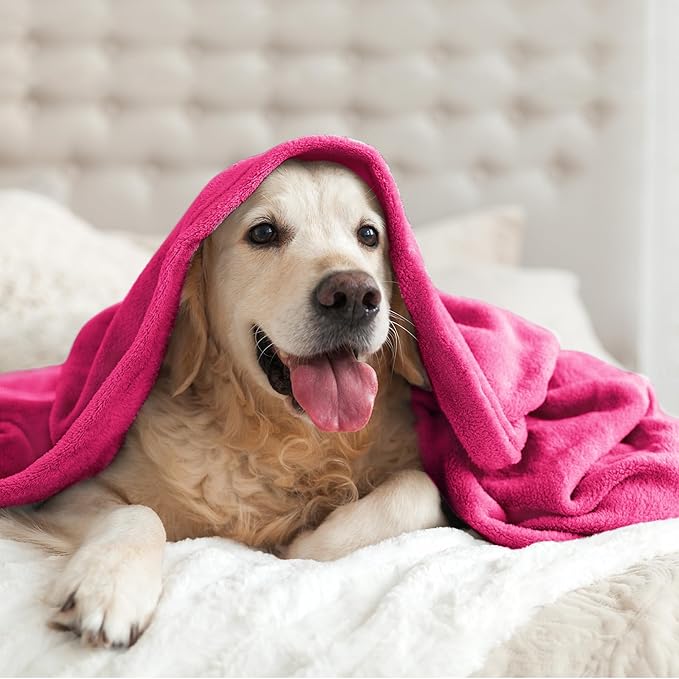 BEDELITE Fleece Blanket Hot Pink Throw Blanket for Couch & Bed, Luxury Plush Cozy Fuzzy Blanket 50" x 60", Super Soft Warm Lightweight Throw Blanket for Travel Camping