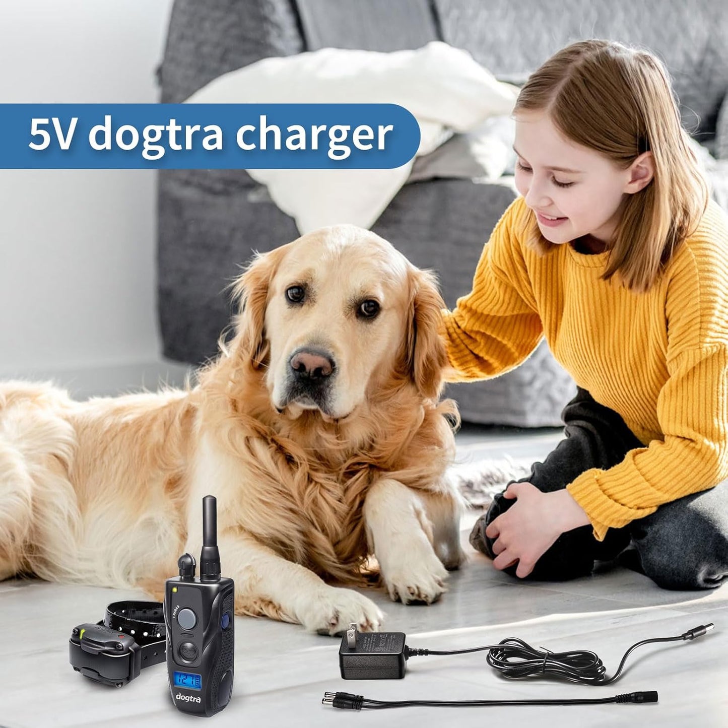 Dogtra Charger, Compatible with YS300, YS600, EF-3000, 280C, 282C, 200C, 202C, Dogtra Charger with 5-5 Splitter Cable