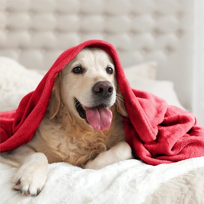 BEDELITE Fleece Blankets Queen Size Red Throw Blankets for Bed, Luxury Plush Cozy Fuzzy Blanket 90x90 inches, Super Soft Warm Lightweight Throw Blanket All Seasons Suitable