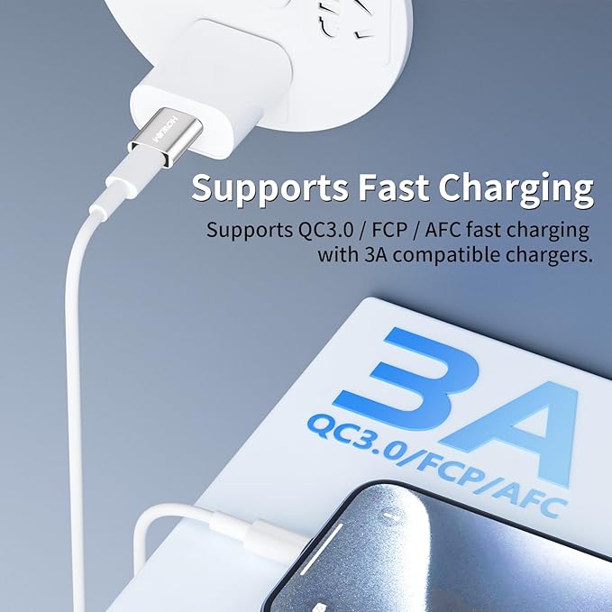 USB to USB C Adapter 2 Pack,HOWJIM Type-C Female to USB3.0 Male OTG Adapter,3A Fast Charging 5Gbps Data Transfer,Type-C to USB Adapter for M-acBook Phone 17/16/15 Serie Pad A-pple Watch G-alaxy Silver
