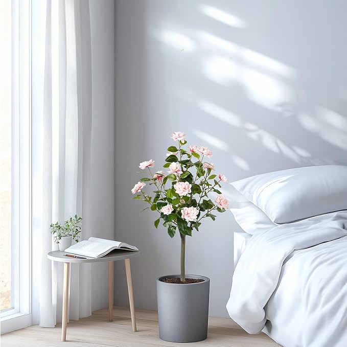 Artificial Camellia Tree 2 Pack, Artificial Plants Outdoor Faux Floral Plant in Cement Pot Fake Silk Camellia Tree Plants for Home House Living Room Office Decor