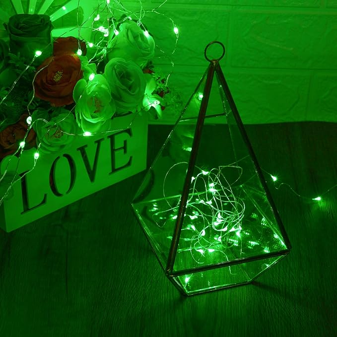 led Fairy Lights Waterproof 16.4ft String Lights Battery Operated for Wedding, Home, Garden, Party, Christmas Decoration (1pc, Green)